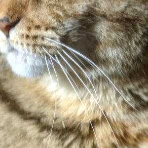 Meet your Posher, Jan